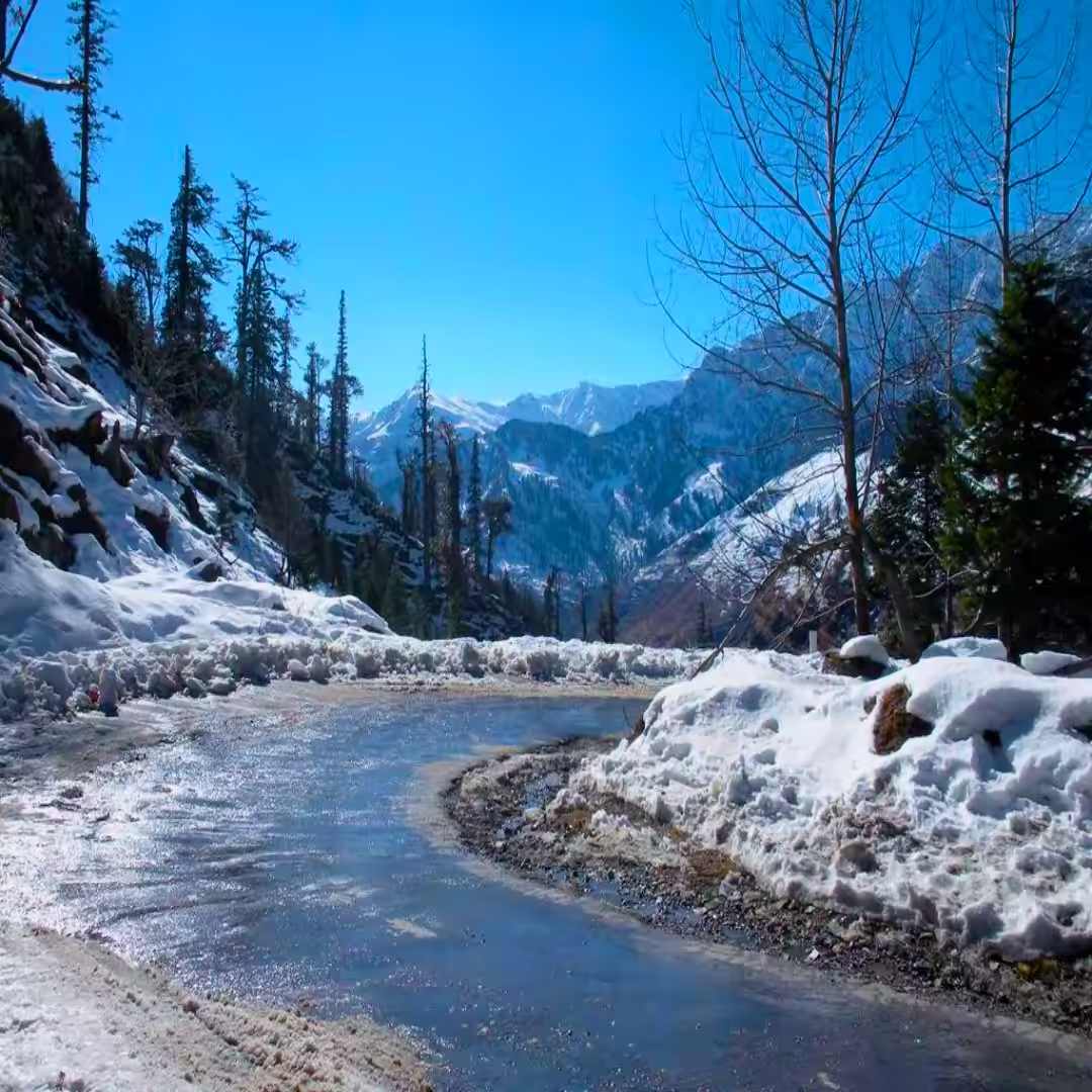 Shimla Manali Tour Package