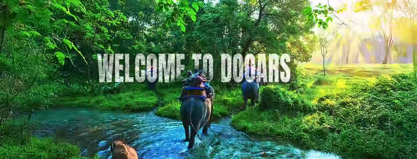 Beautiful Dooars Landscapes